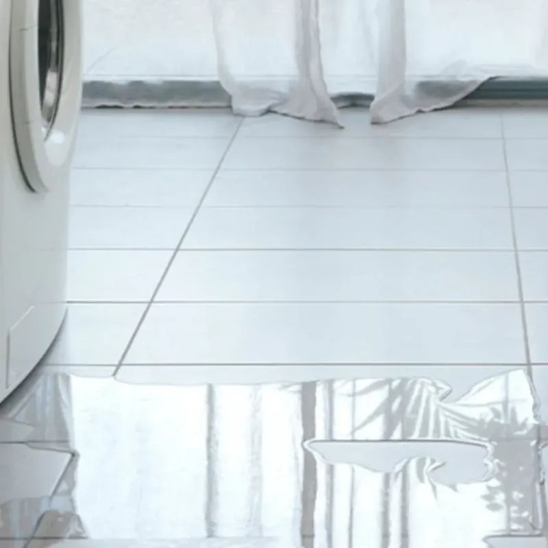 Appliance Leak Cleanup in Ogden Dunes, IN