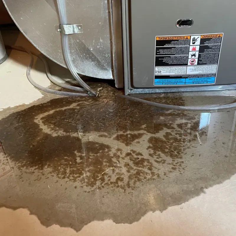 Pipe Burst and Leak Restoration in Ogden Dunes, IN